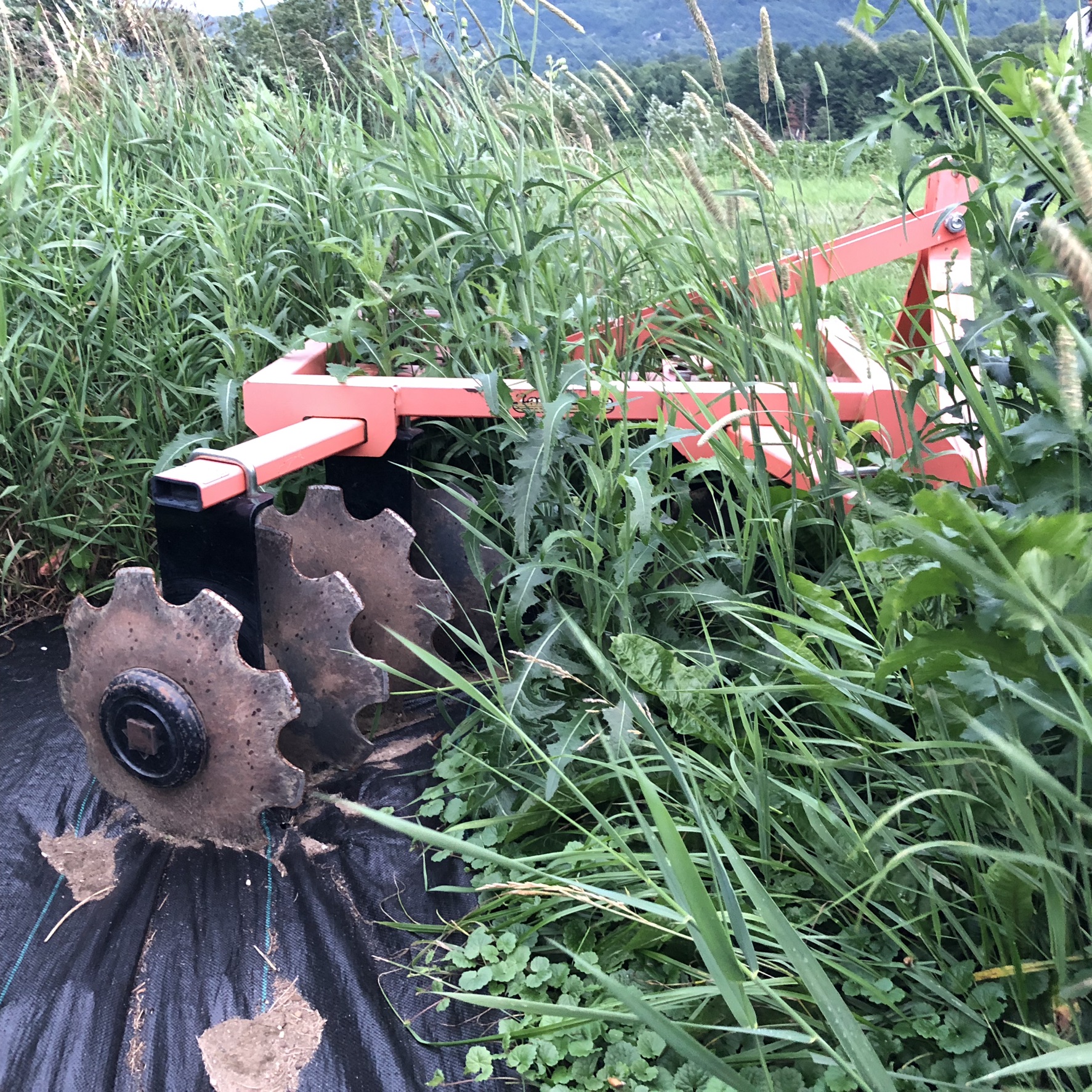 Agricultural machinery from a VT farm, 2021