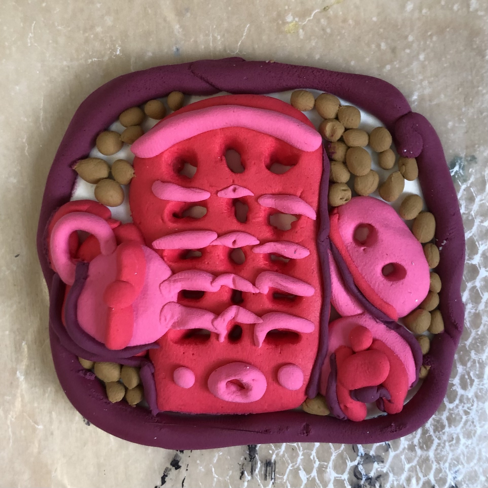 Mini Sheller, Crayola Model Magic, 3"x3", 2021